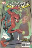 The Amazing Spider-Man 506 - Image 1