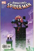 Amazing Spider-man  - Bild 1