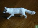 Polar fox - Image 1