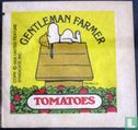 Gentleman farmer tomatoes - Image 1