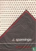Spanninga (fietsen) - Image 1