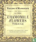Chamomile Flowers Tisane  - Bild 1