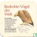 Bedrohte Vögel der Welt Der Seeadler - Image 1