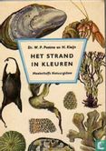 Het strand in kleuren