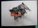 Kiko, de rasta-dog, in de sneeuw - Bild 1