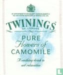 Pure Flowers of Camomile - Image 1