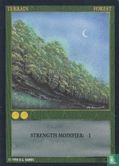 Forest  - Afbeelding 1
