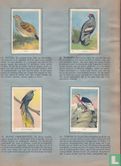 Vogels en insecten - Afbeelding 3