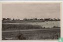 Eernewoude - Image 1