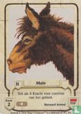 Mule - Image 1