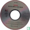 Rock until you drop - Image 3