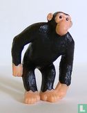 Chimpanzé - Image 1