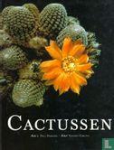 Cactussen - Image 1