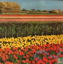 Springtime in Holland - Bild 1
