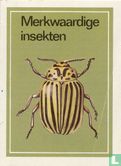 Merkwaardige insekten - Image 1