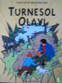 Turnesol Olayi - Image 1