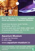 Aquarium Muséum Liège - Bild 2