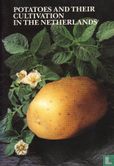 Potatoes and their cultivation in the Netherlands - Afbeelding 1