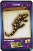 Salamanderpoten - Afbeelding 1