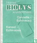 Cannelle - Echinacea - Afbeelding 1