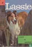 Lassie op speurtocht - Bild 1