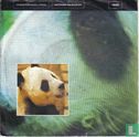 Watching the Wildlife - Image 1