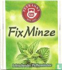 FixMinze - Image 1