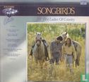 Songbirds - 28 First Ladies of Country - Afbeelding 1
