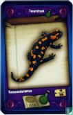 Salamanderpoten - Afbeelding 1