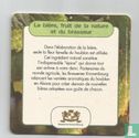 Houblon ou plus exactement