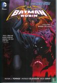 Batman and Robin: Born to kill - Bild 1