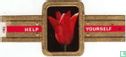 Lily-Flowered Tulip - Red Shine - Image 1
