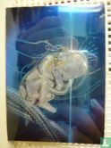Future Fetus - Afbeelding 1