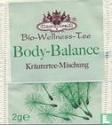 Body-Balance - Image 2