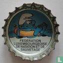 Federation Luxembourgeoise de natation et de sauvetage - Afbeelding 1