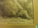 The Witch Tree - Pebble Beach Calif. - Image 3