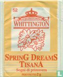 52 SprinG DreamS TisanA - Afbeelding 1