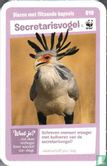 Secretarisvogel