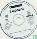 Elephant - Image 3