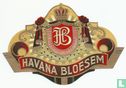 Havana bloesem - Image 1