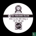 The Peregrine Falcon - Image 2