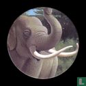 The Asian elephant - Image 1
