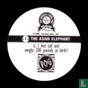 The Asian elephant - Afbeelding 2