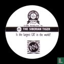 The Siberian Tiger - Afbeelding 2