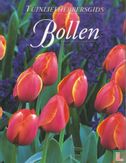 Bollen - Image 1