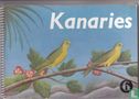 Kanaries - Afbeelding 1