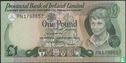 Noord-Ierland 1 Pound 1979 - Afbeelding 1