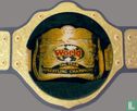 World Tag Team Wrestling Champions - Image 1
