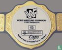 World Tag Team Champions de la lutte - Image 2