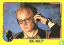 Bug Bailey - Bild 1